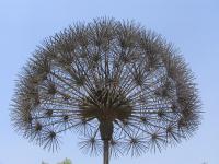 Albums/20060800-China Aug 2006/20060804-Shenyang University/82